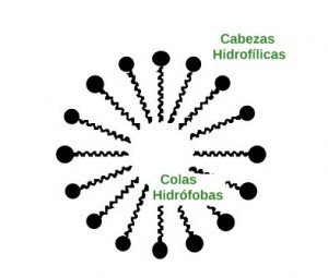 miscela
