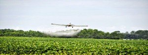pesticidas-en-los-alimentos